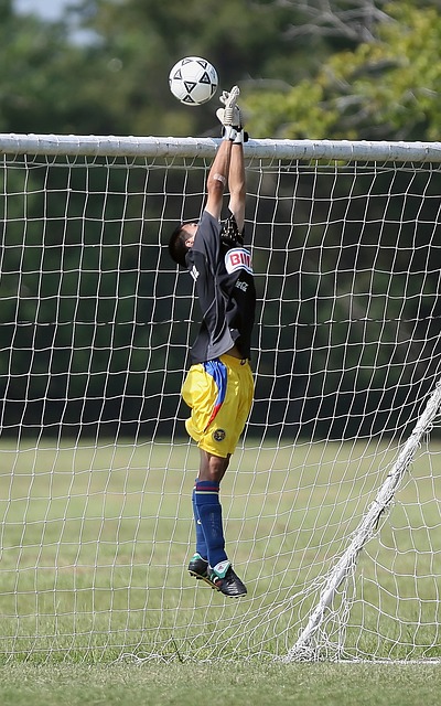 球场技术 球场技术