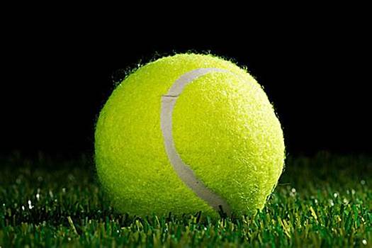 罗梅乌不仅 罗梅乌不仅