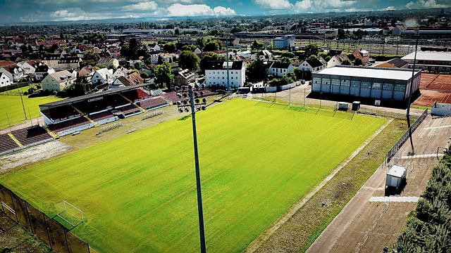 率和效能 率和效能