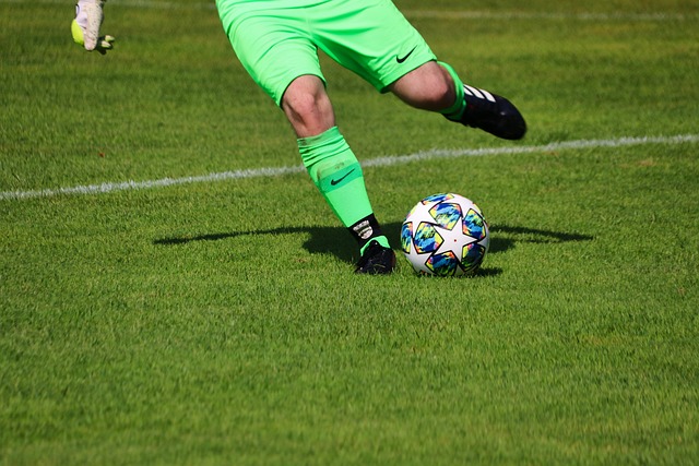 骑士队在米 骑士队在米