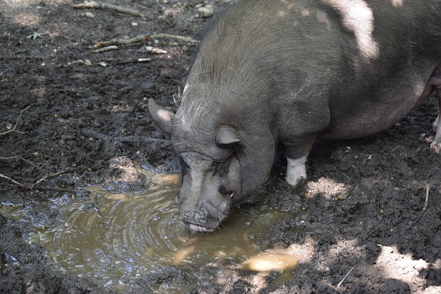 这一消息不 这一消息不