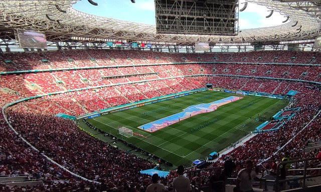 东泰山新赛 东泰山新赛