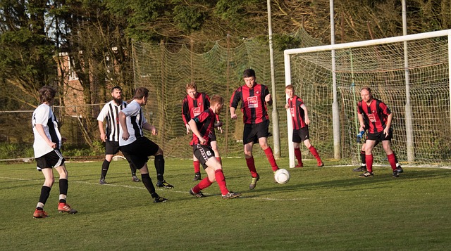 将为球队注 将为球队注